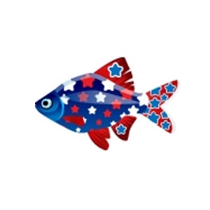 Star Spangled Barb